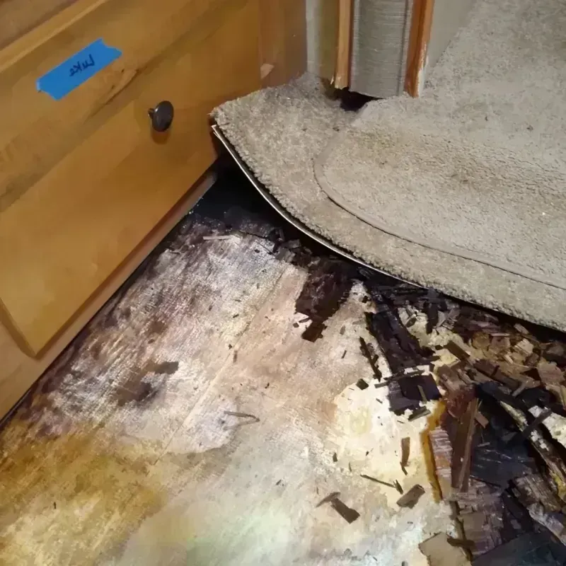 Wood Floor Water Damage in Spring Valley, TX